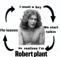 Robert Plant 