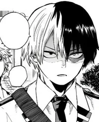 MHA Shoto Todoroki 