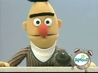 Bert
