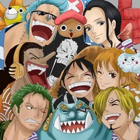 Straw hats With Law