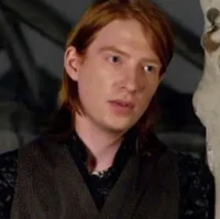 Bill Weasley 