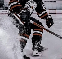 Brothers best friend