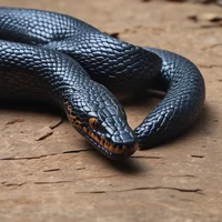 Jormungandr