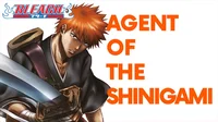 Agent of shinigami 