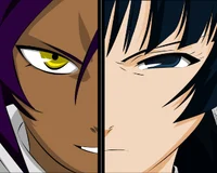 Yoruichi and Soi Fon