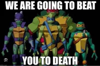 TMNT -or- ROTTMNT