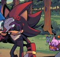 Shadow The Hedgehog