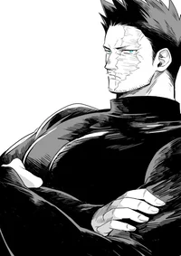 MHA Todoroki Enji