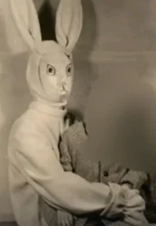 Sr Conejo