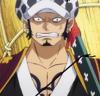 Trafalgar D Law