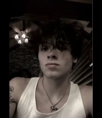matt sturniolo