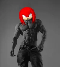 Knuckles The Echidna