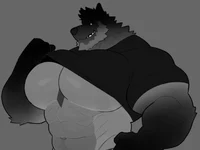 Bara Furry Wolf