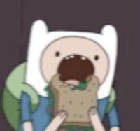 FINN THE HUMAN