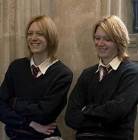 GEMELOS WEASLEY 