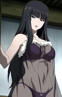 The Expert NinjaGirl