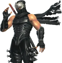 DeadOfAlive_Hayabusa