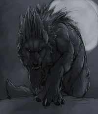 Kongo