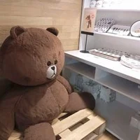 Teddy Bear Guy