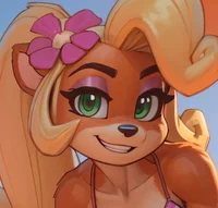 Coco Bandicoot Beach