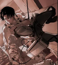 Levi Ackerman 