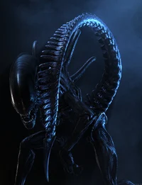 Xenomorph