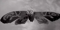 Mothra    TMITS