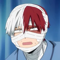 Shoto todoroki