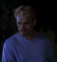 Matt Dillon