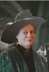 PROFESSOR MCGONAGALL