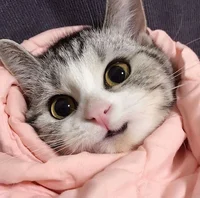 Надя из анон чата