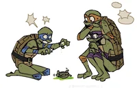 TMNT bayverse