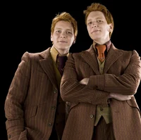 Weasley twins