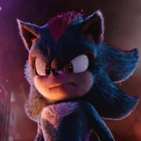 Shadow The Hedgehog 