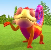 Archie the Chameleon