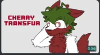 Cherry Transfur