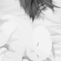 3 JUMIN HAN