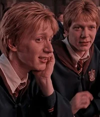 The Weasley Twins