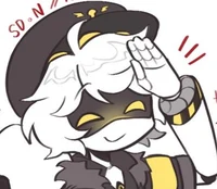 Serial designation N