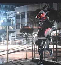 The night of the fur