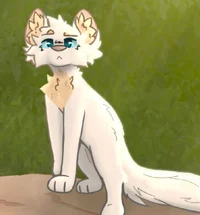 Warrior cats 