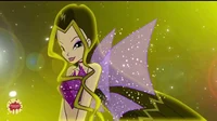 Darcy Winx