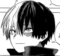 shoto todoroki