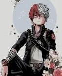 Shoto Todoroki
