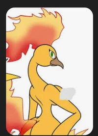 Amber the Moltres