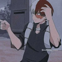 Shoto todoroki