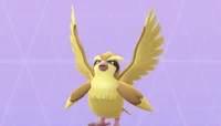 Pidgey God