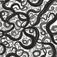 Parasite Monster Pov