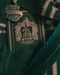 Slytherin boys