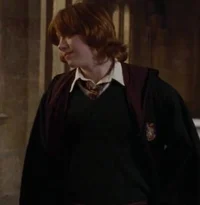 Ron Weasley 